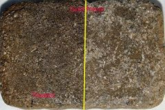 flagstone sealer stoneworks