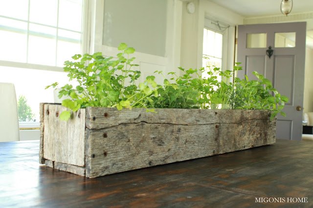 19 Indoor Herb Planter Ideas  Place to Call Home