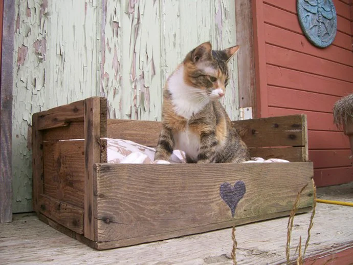 pallet-cat-bed