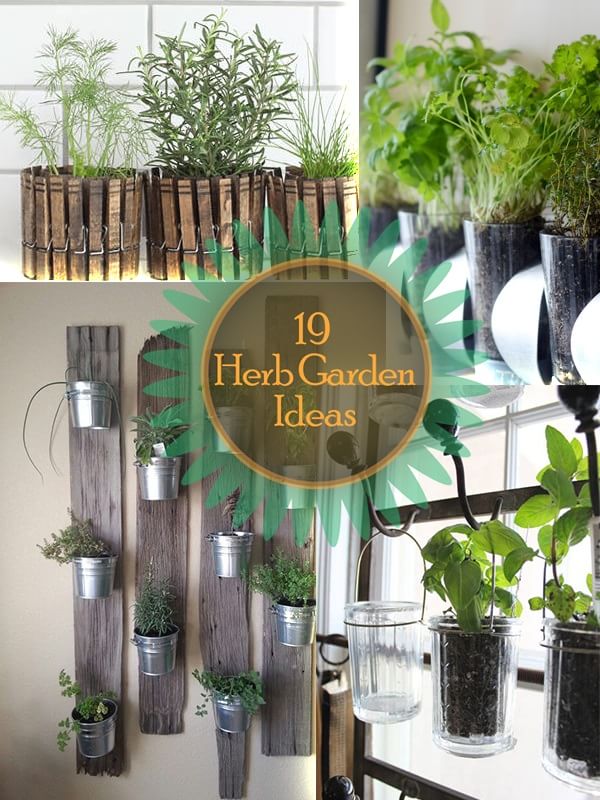 vertical-herb-planter