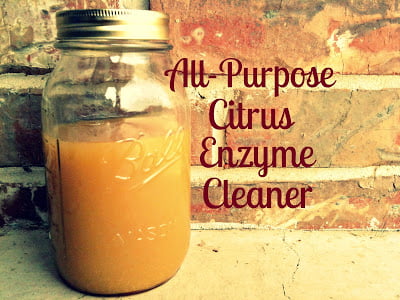 Citrus Enzyme Cleaner
