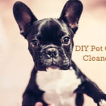 DIY-pet-odor-cleaners