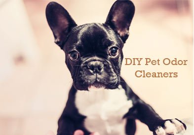 DIY-pet-odor-cleaners