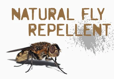natural-fly-repellent