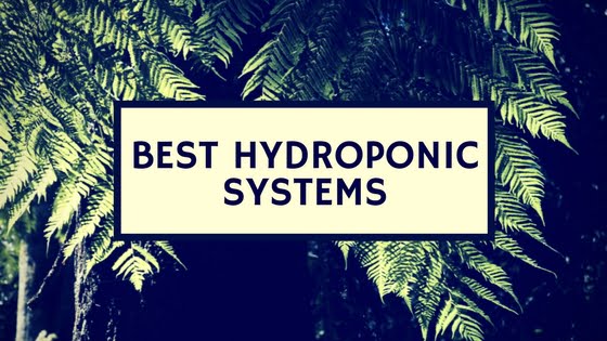 Best hydroponic system