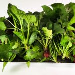 Are hydroponic veggies less nutritious?