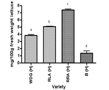 Ascorbic acid concentrations of various Hydroponically grown Lettuces 