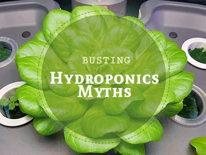 hydroponics myths