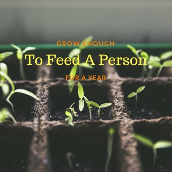 How Many Acres Of Land Would It Take To Grow Enough To Feed A Person For A Year