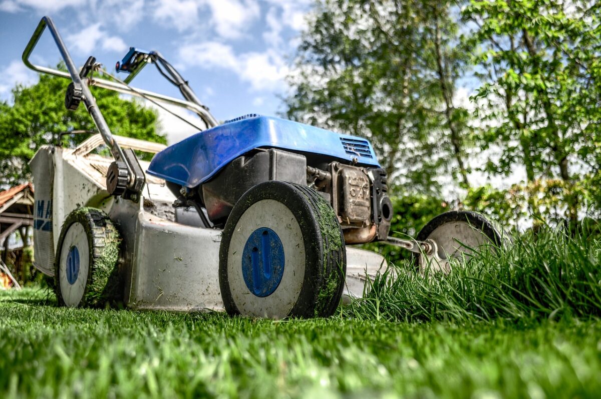 MOWING AFTER OVERSEEDING