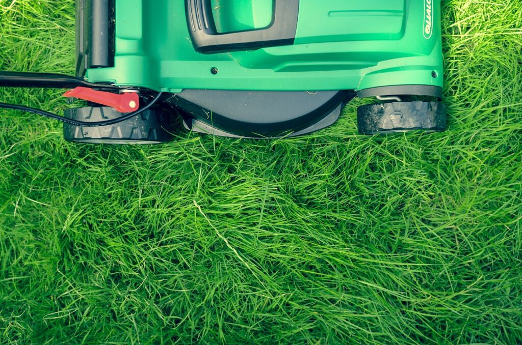 Mow After Overseeding Fescue