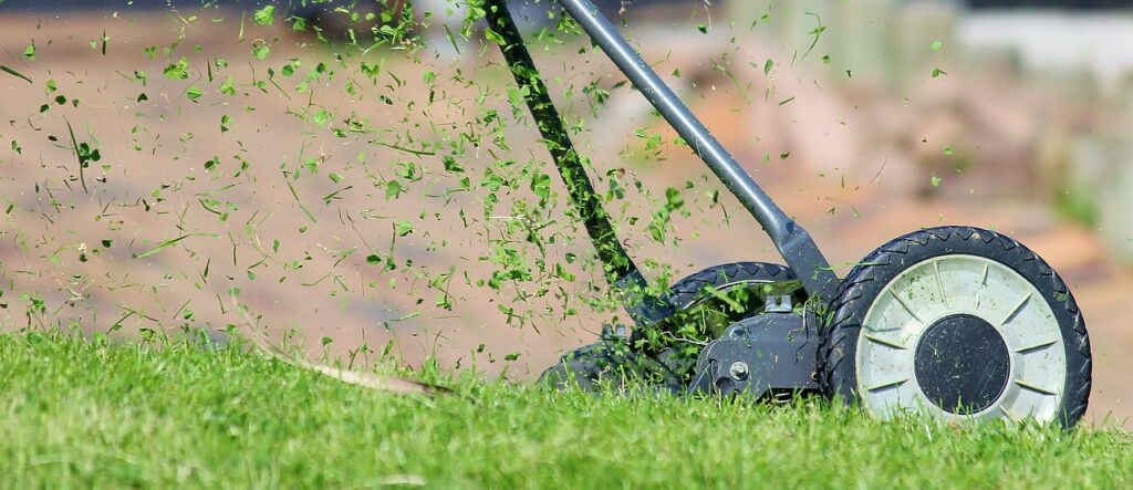 Mowing After Overseeding